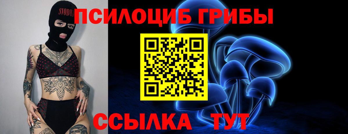 Псилоцибиновые грибы ЛСД  даркнет сайт  Ипатово  Вход с VPN  Псилоцибиновые грибы прущие грибы 